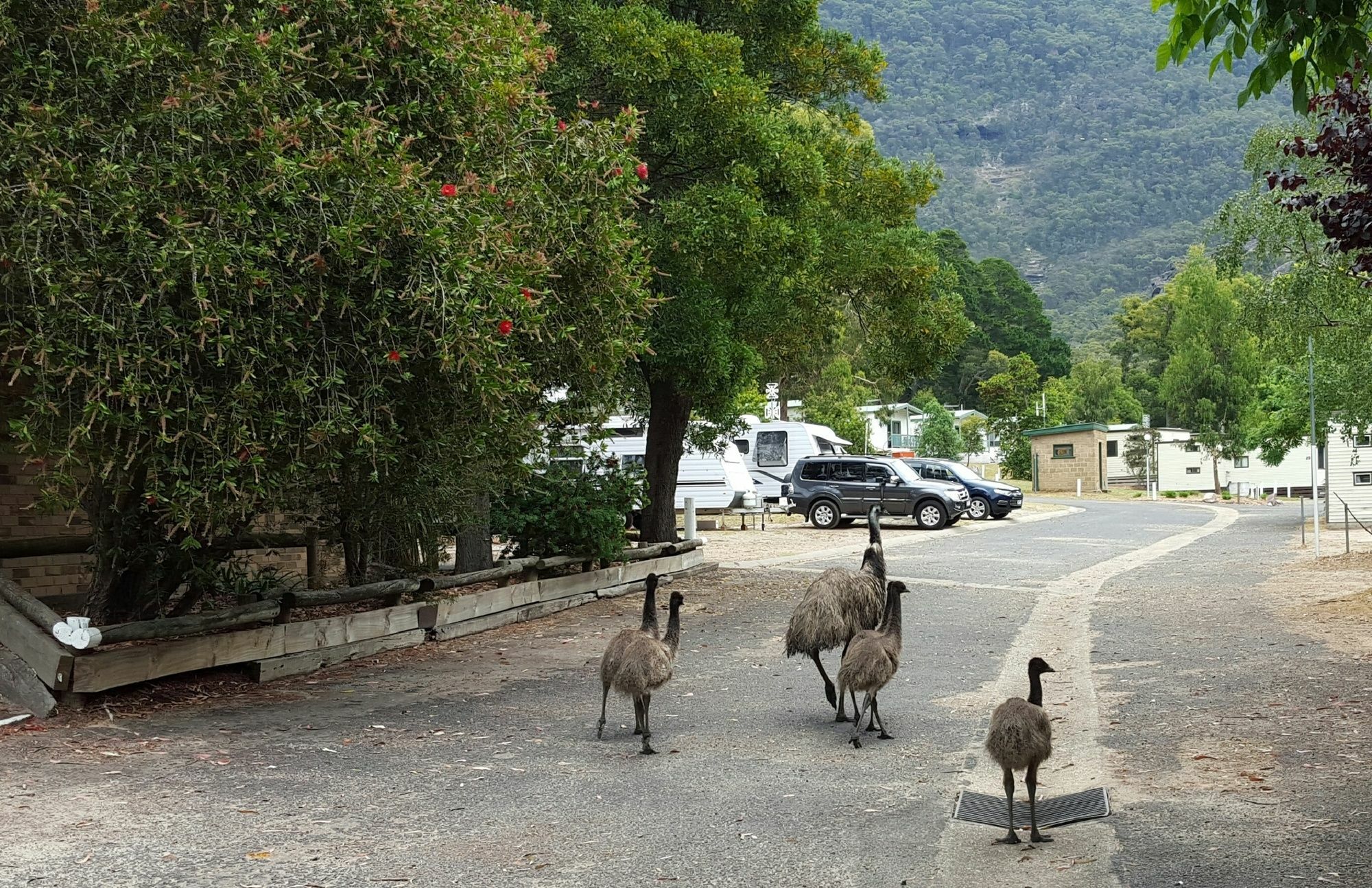 Breeze Holiday Parks - Halls Gap Exterior foto
